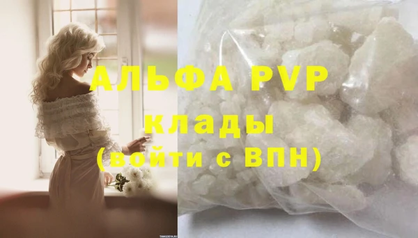 индика Кукмор