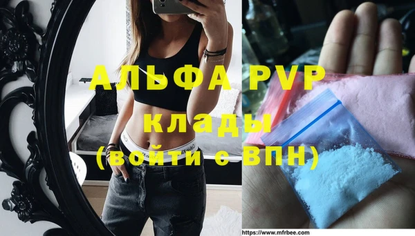 индика Кукмор