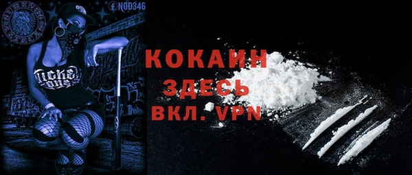 индика Кукмор