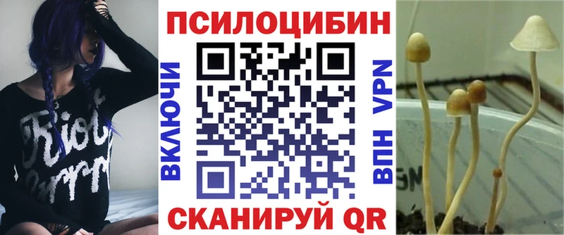 Галлюциногенные грибы MAGIC MUSHROOMS купить наркотики цена Назрань