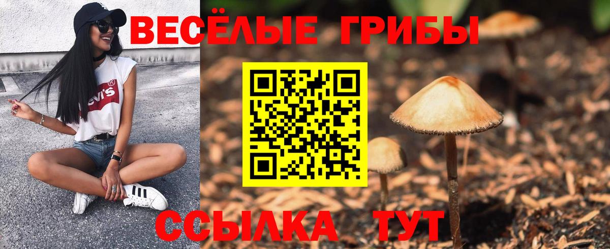 Назрань  Галлюциногенные грибы MAGIC MUSHROOMS  даркнет сайт  Вход с VPN 